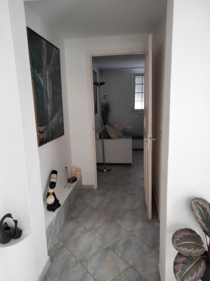 Beautiful Apartment With Garden アメリ・レ・バン・パラルダ エクステリア 写真